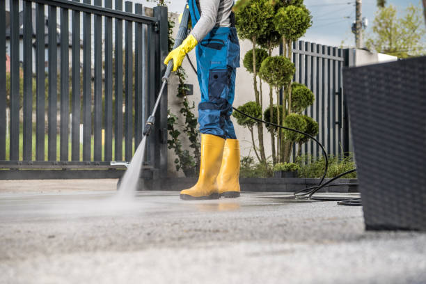 Best Dumpster Area Cleaning  in Agler Beach, FL